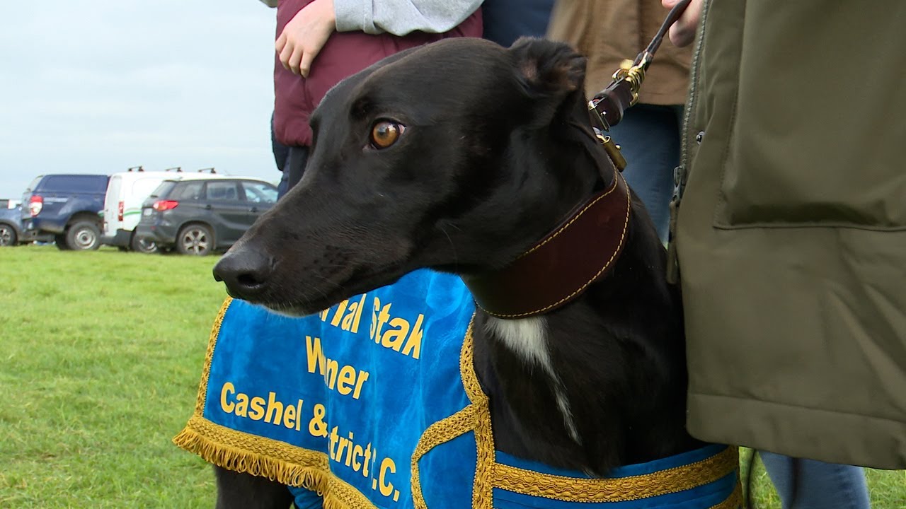 So Good- Cashel Oaks Trial Stake