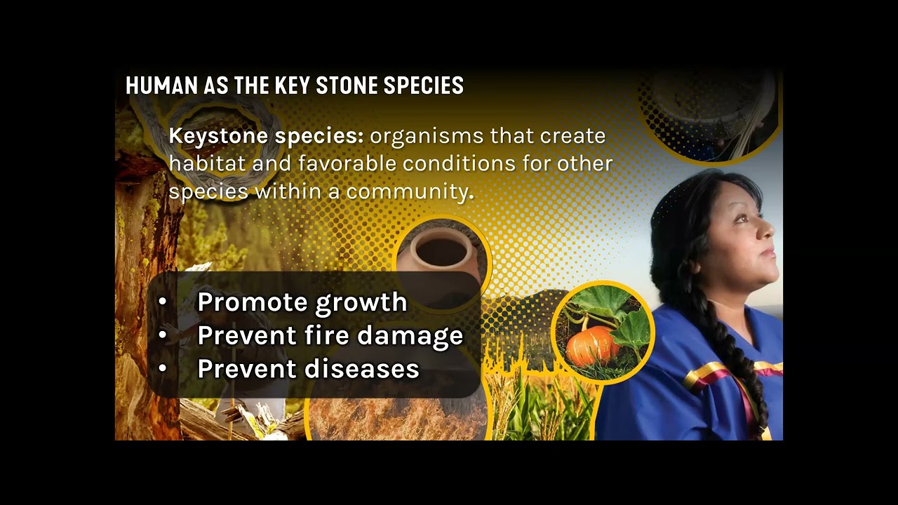 Café: Sustainability Lessons from Indigenous Practices (July 2025)
