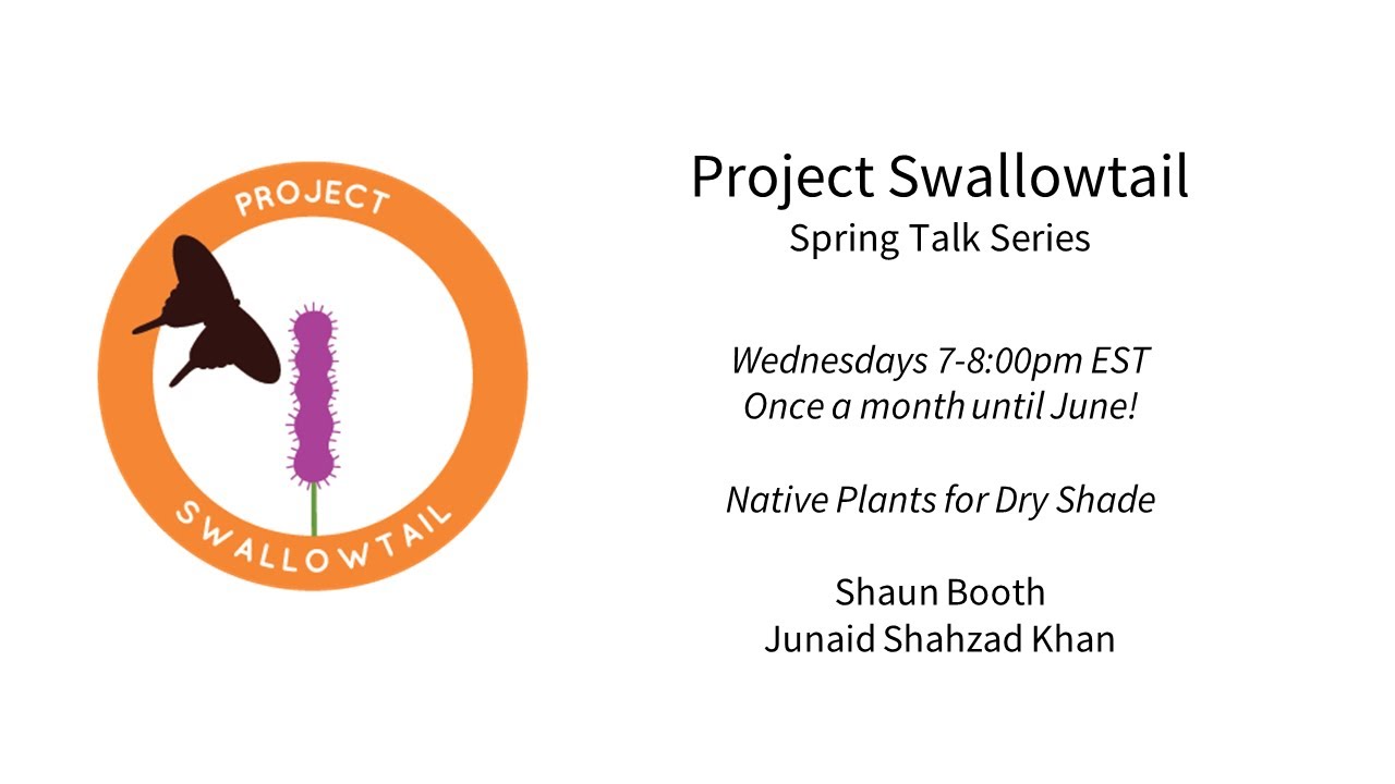 Native Plants for Dry Shade