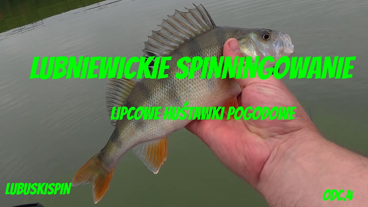 Spinning na Lubniewicach - huśtawki pogodowej ciąg dalszy