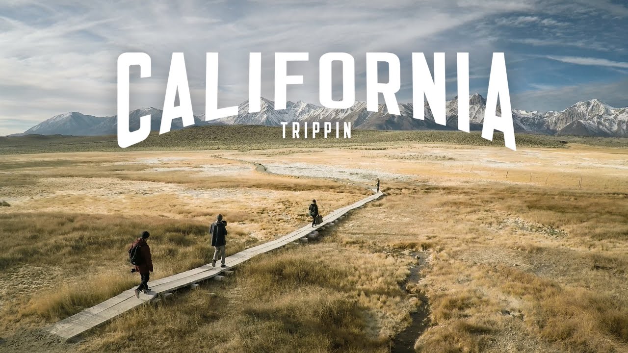 California Trippin - The full story
