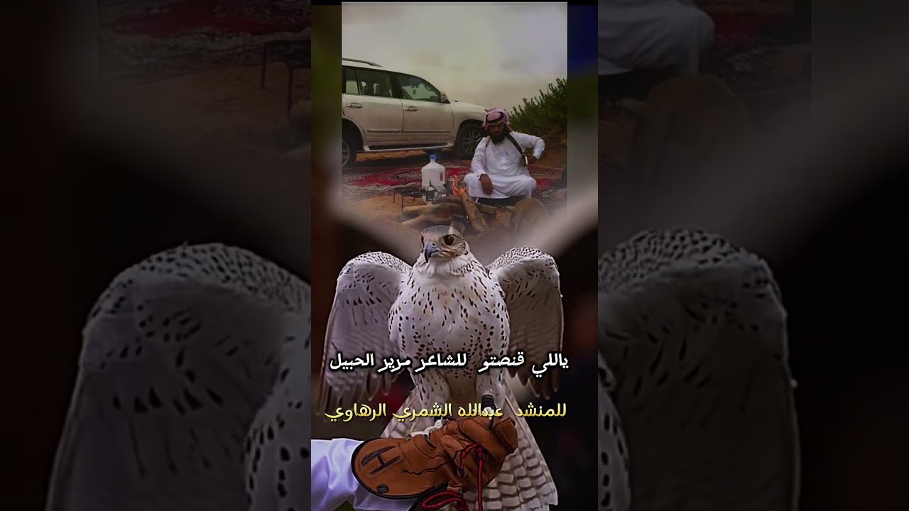 شيله  المقناص عبدالله الشمري