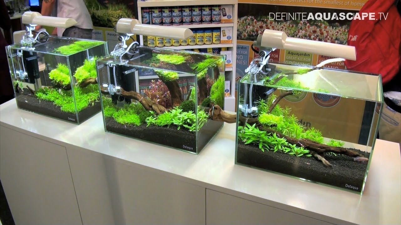 Aquascaping - Aquarium Ideas from Aquatics Live 2011, part 1