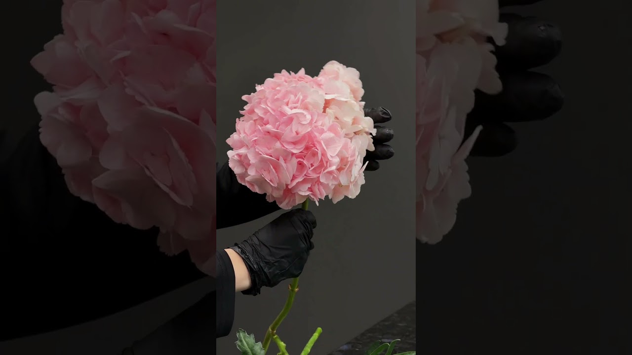 Цветы по оптовым ценам #flowers #flowersua #украина #цветы #доставкацветов