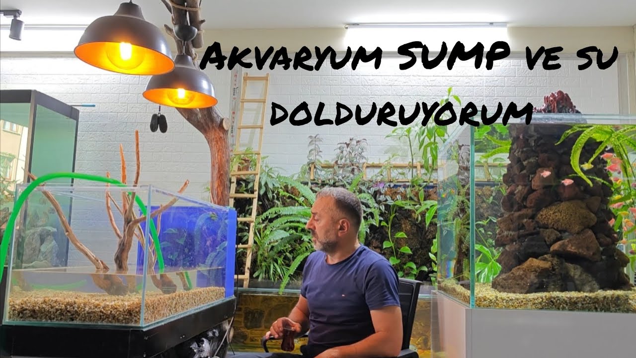 Akvaryum SUMP ve su dolduruyorum