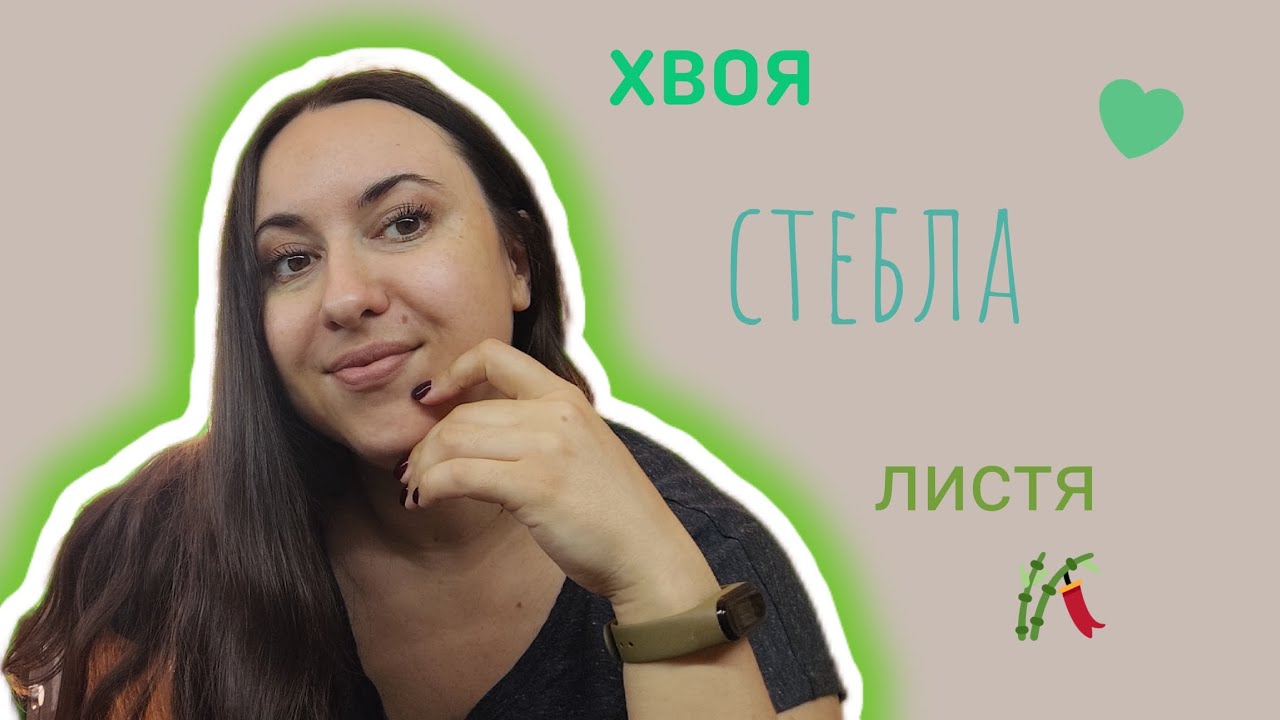Аромати зелені та природи💚🪴🌿☘️