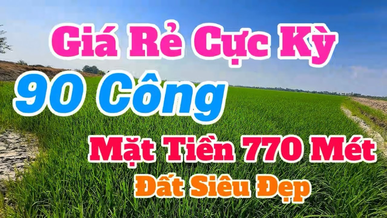(Số 885) Siêu Mặt Tiền 770 Mét 👉90 Công| Cần Bán Nhanh💥 Giá Rẻ Đất cực kỳ đẹp