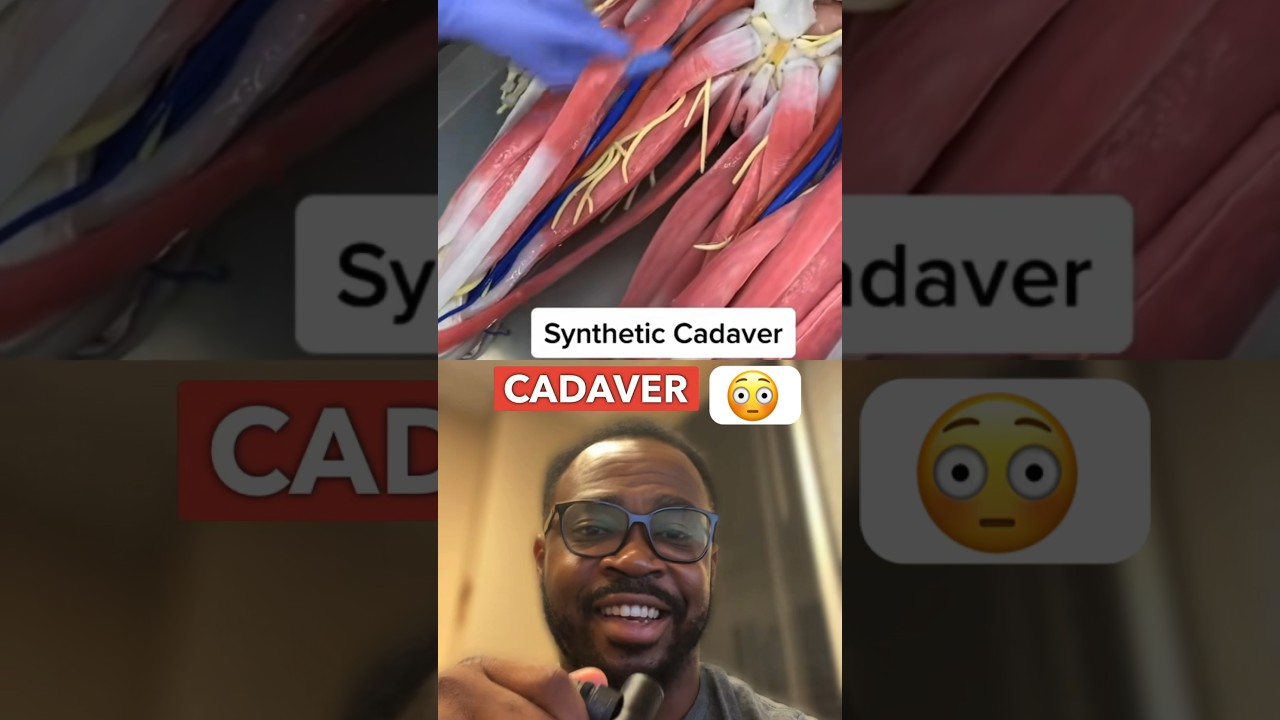 Have you ever seen this? Synthetic cadavers. #shorts #medical  #doctorreacts