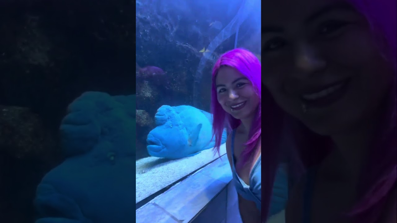 Fui al acuario de Dallas Tx 