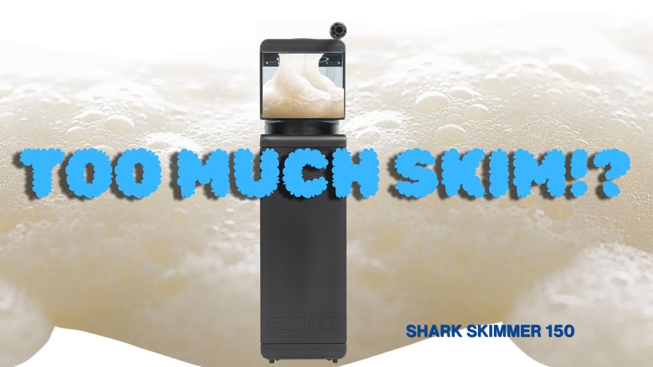 STOP The Over Skimming | Shark Skimmer 150 Correction tips