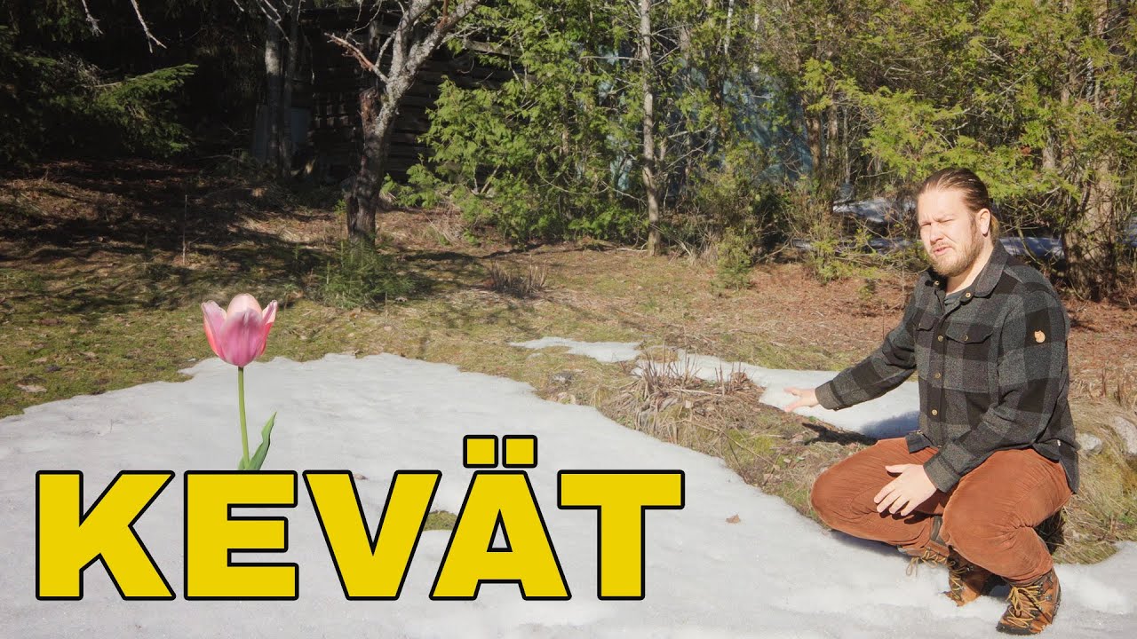 Puutarhan kevättoimet - Omenapuut, pensaat, puunkaadot ja risut