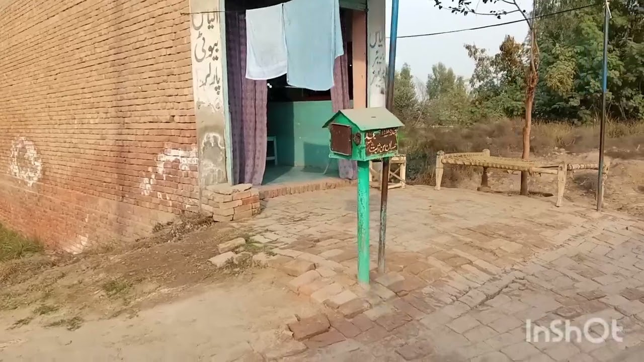 کمال کرکٹ