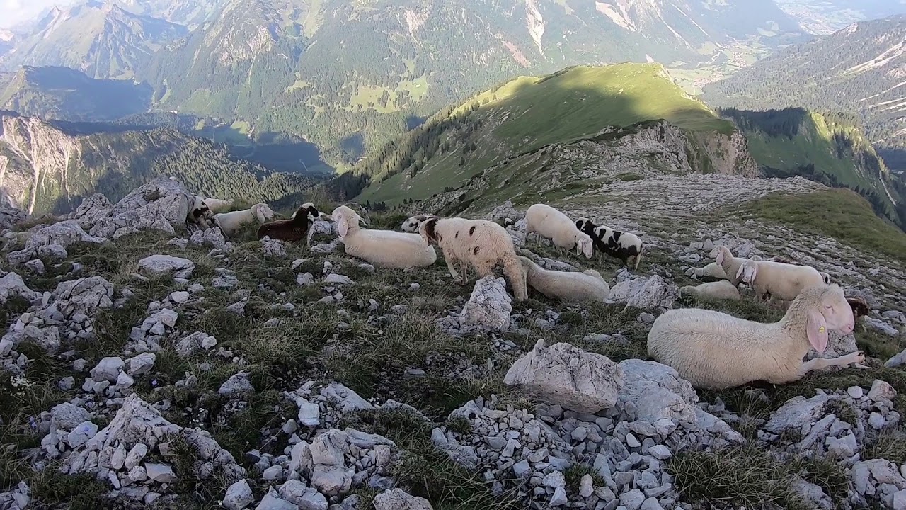 Bergtour Gaishorn