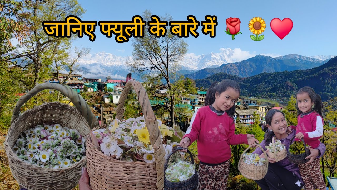 बसंत के साथ आया फूलदेई  का त्यौहार ♥️🌻|पहाड़ों की संस्कृति 🌻♥️|pahadilifestylevlogs |uttrakhand |