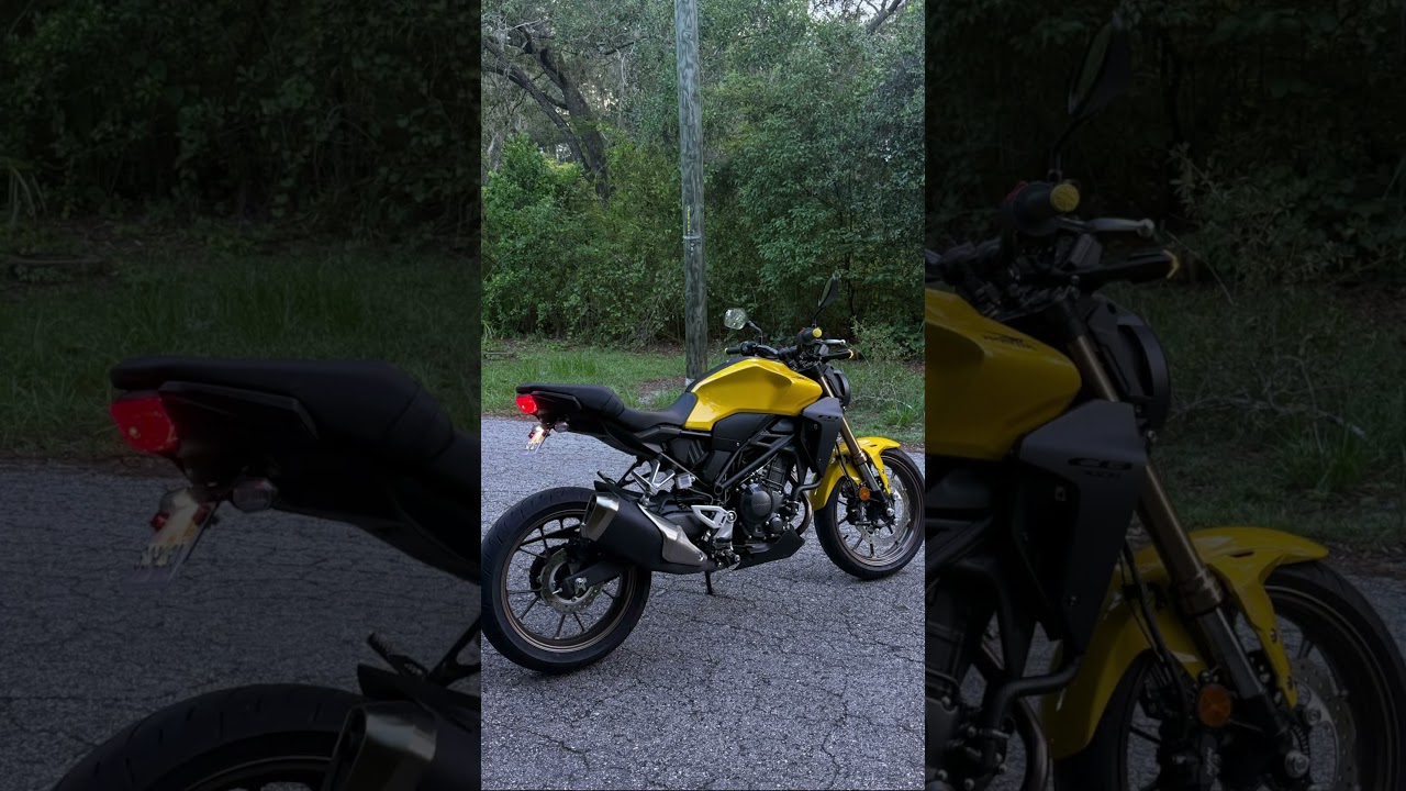 2025 HONDA CB300R (best beginner bike)