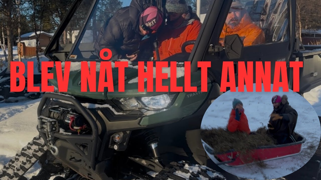 På uppdrag en tidig morgon 