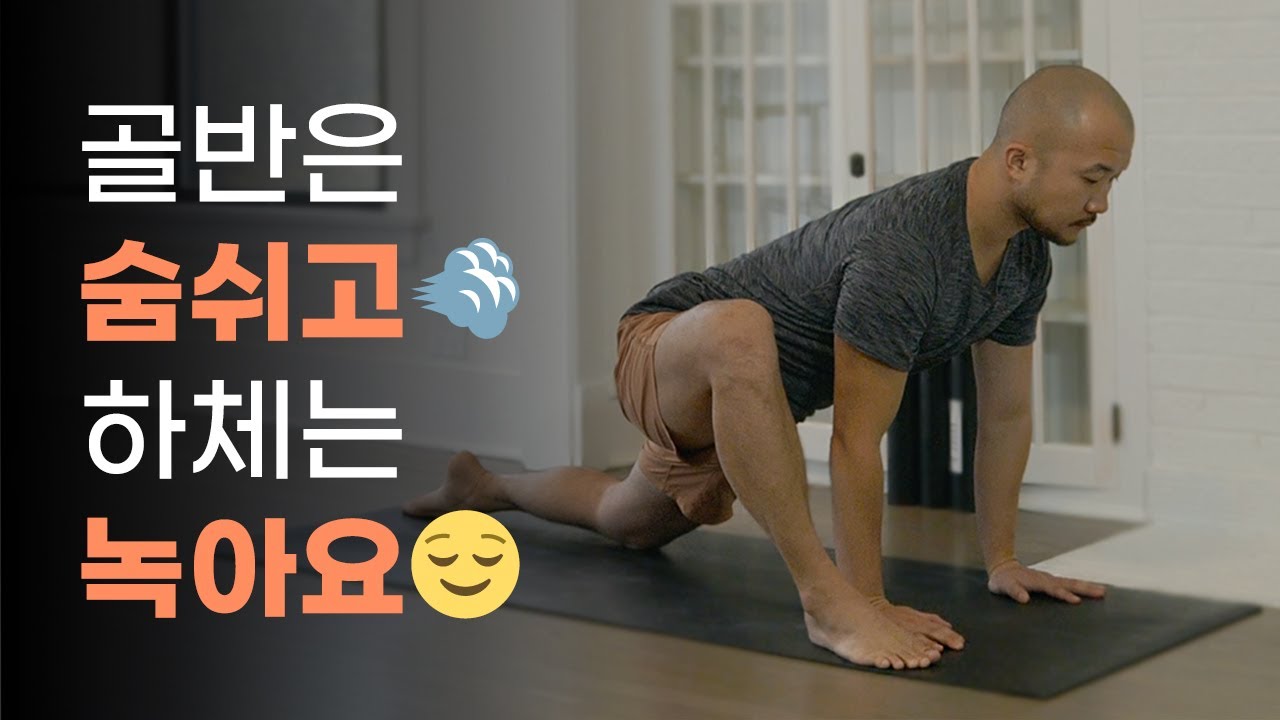 골반 순환 운동과 하체 스트레칭 (골반교정 · 피로회복 · 두통해소) | 30분 요가 | 요가소년 436