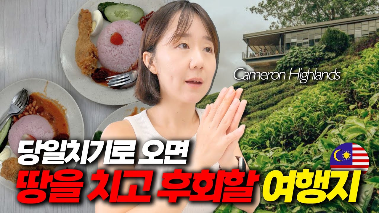 하늘 아래 지어진 천국의 날씨를 가진 도시, 카메론하이랜드 [말레이시아6]