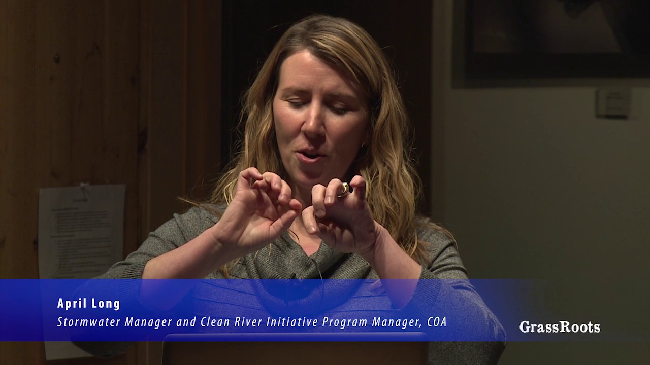 Mimicking Nature: Engineering for the Environment