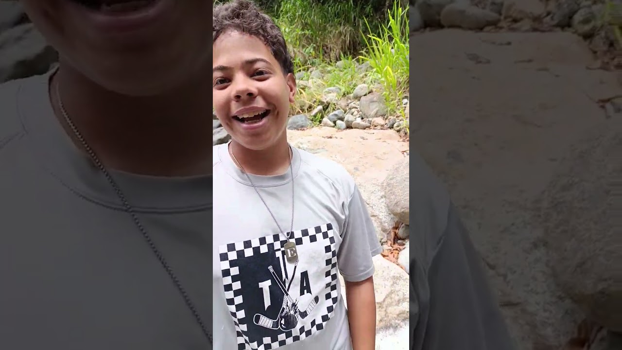 el perro Pitbull más viral