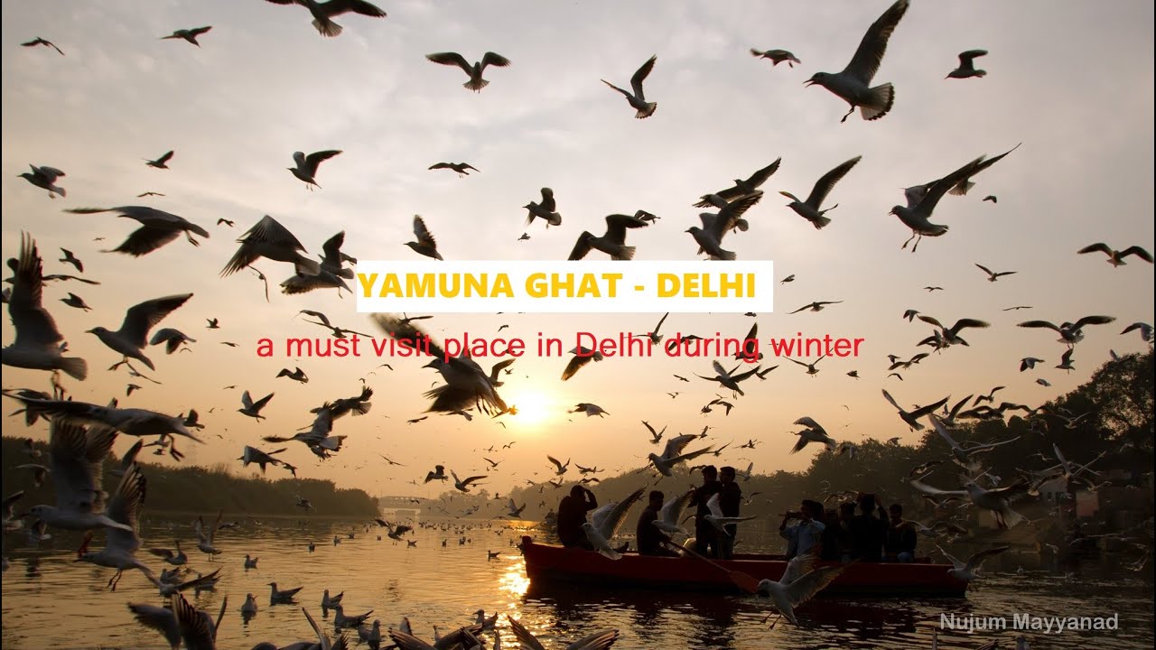 YAMUNA GHAT - DELHI  - A must visit place for tourists in winter - video by Nujum Mayyanad