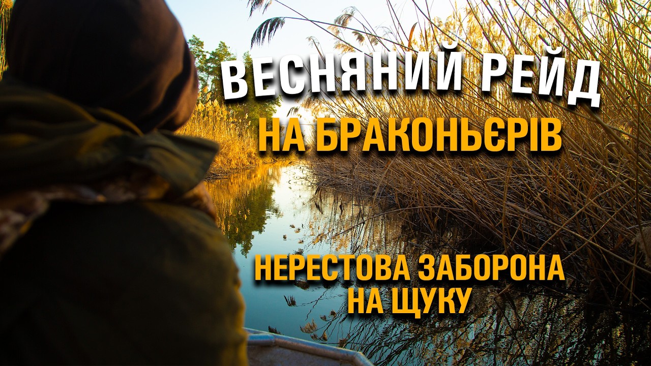 РЕЙД НА БРАКОНЬЄРІВ 2025. ЯК ПРАЦЮЄ ЗАБОРОНА НА ВИЛОВ ЩУКИ В НЕРЕСТ? КІЛОМЕТРИ СІТОК, КУПА РИБИ.
