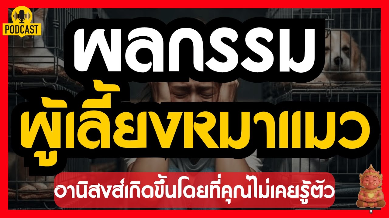 ผลกรรม ผู้เลี้ยงหมาแมว อานิสงส์เกิดขึ้นโดยไม่รู้ตัว | #ปลุกยักษ์ในใจ
