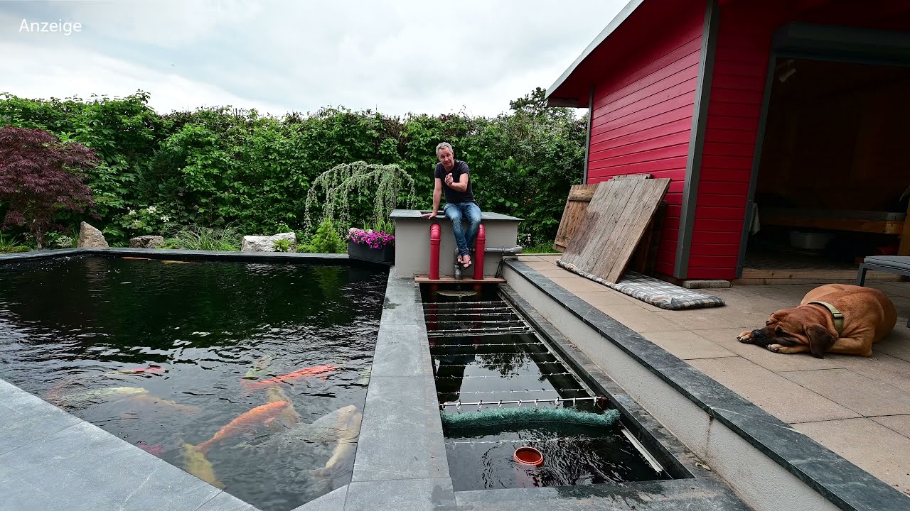 Modern Koi Blog #4608 - Udos selbstgebauter Bürstenfilter mit kleinen Schwächen