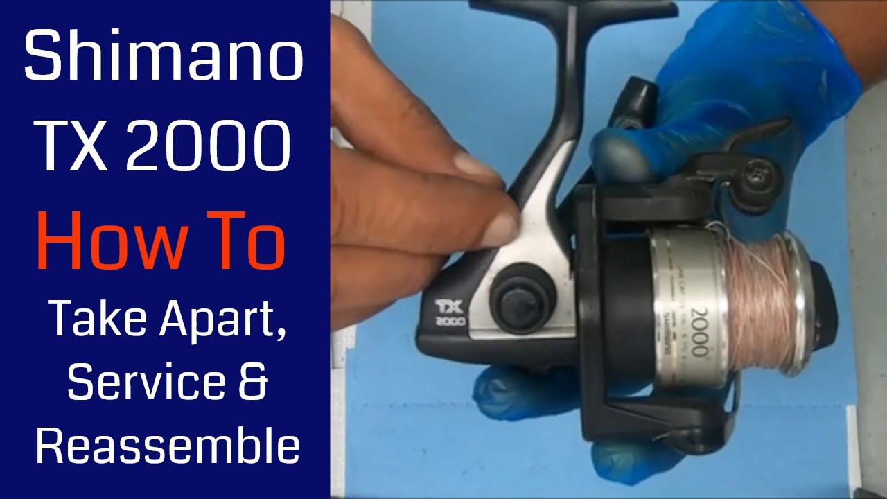 Shimano TX2000F Fishing Reel - How to take apart, service and reassemble