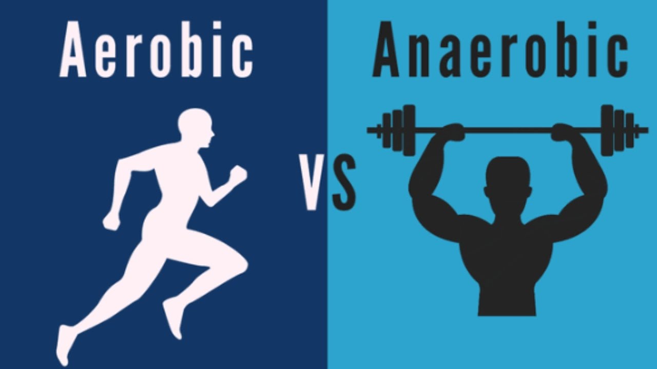 Aerobic vs Anaerobic Exercises|Health and Physical Education|Shyna Goyal