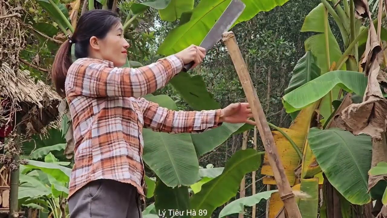 Full video : Life with the Man on the Farm - Building a Daily Life