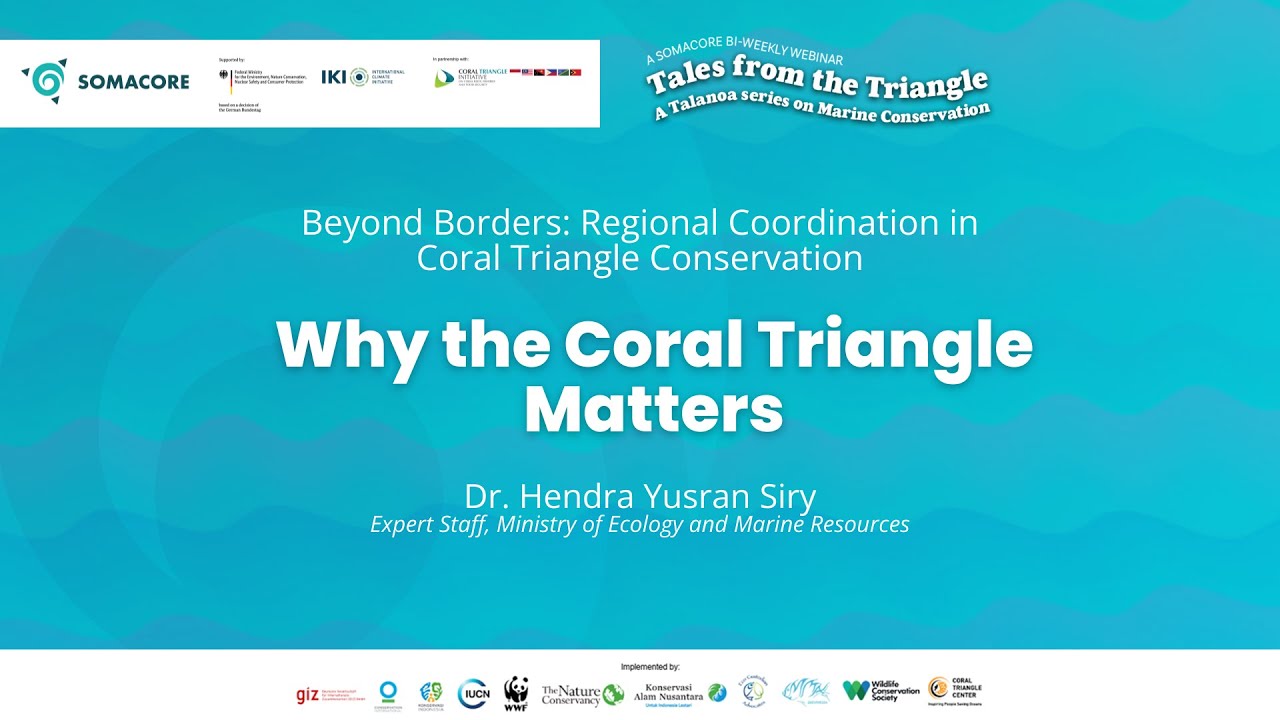 Why the Coral Triangle Matters