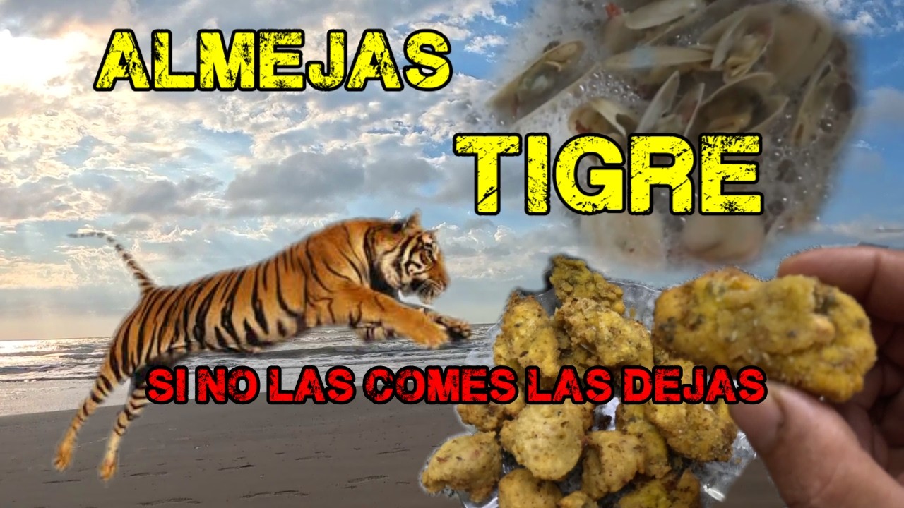 Caminata y Receta: Almejas Tigre en la Costa Atl&aacute;ntica 🌊