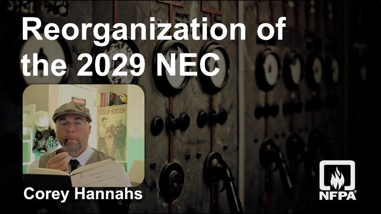 Реорганизация НИК 2029 года