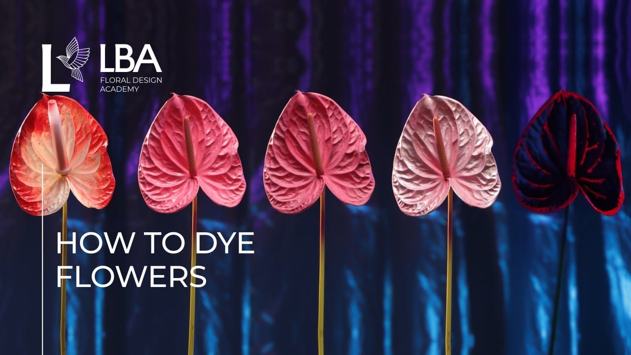 HOW TO DYE FLOWERS | SPRAY PAINTING | LBA TUTORIAL