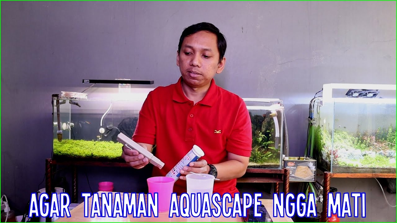 TDS & Kesadahan Air | Cara Kenali, Ukur, dan Sesuaikan dengan Kebutuhan Tanaman