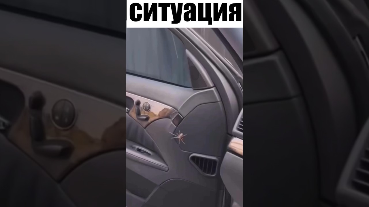 Выход есть #жиза #юмор #прикол #тренд #шортс #fyp #funny #top #shorts #trending #viral #foryou #car