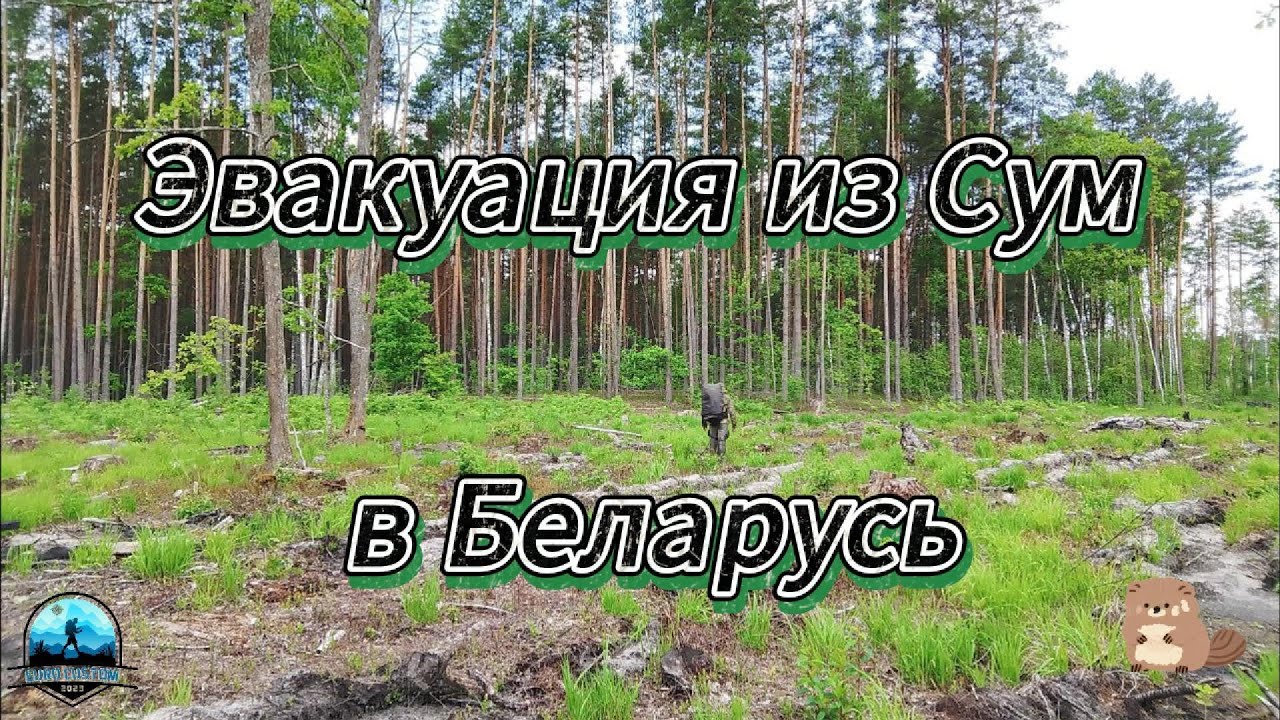 Эвакуация из Сум в Беларусь