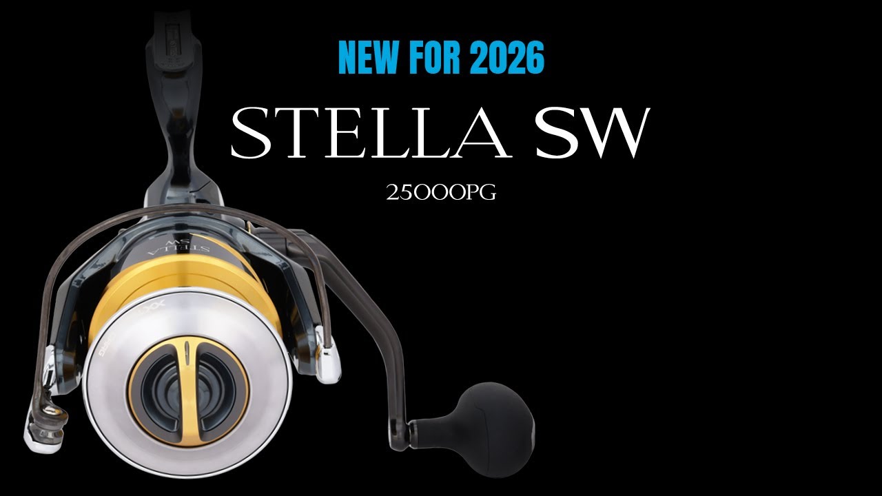 Shimano Stella SW D 25000 | Новые размеры на 2026 год