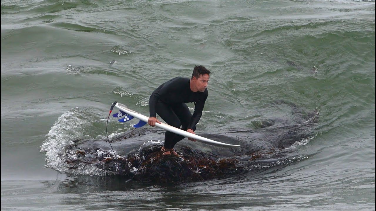 Surfing off a ROCK in Malibu