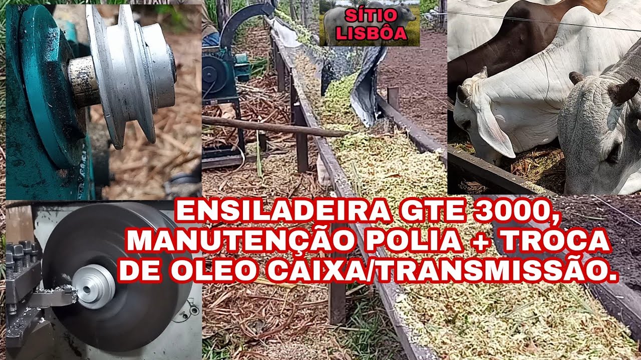 ENSILADEIRA GTE 3000, MANUTENÇÃO POLIAS E TROCA DE ÓLEO DA CAIXA DE TRANSMISSÃO.
