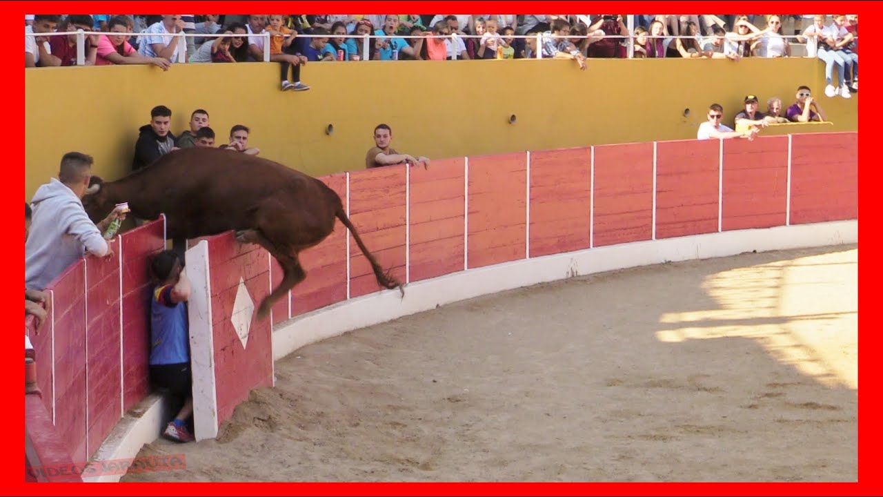 RICLA ( ZARAGOZA ) TARDE VACAS PLAZA ( DOMINGO 21 MAYO 2023 ) GANAD.ARRIAZU