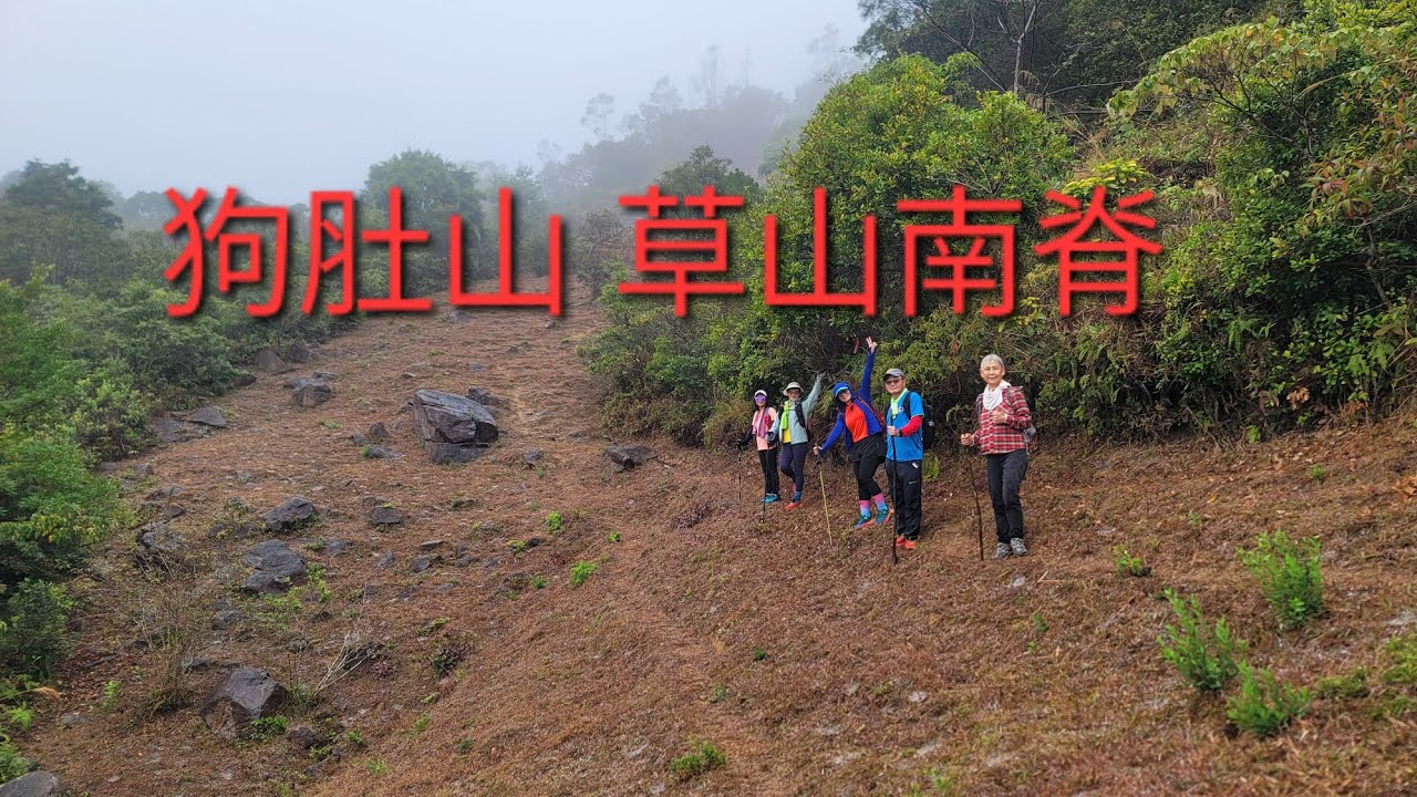 1月31日（星期六）火炭車站 狗肚山 草山南脊 草山 大埔滘林徑 山塘路 大埔墟火車站