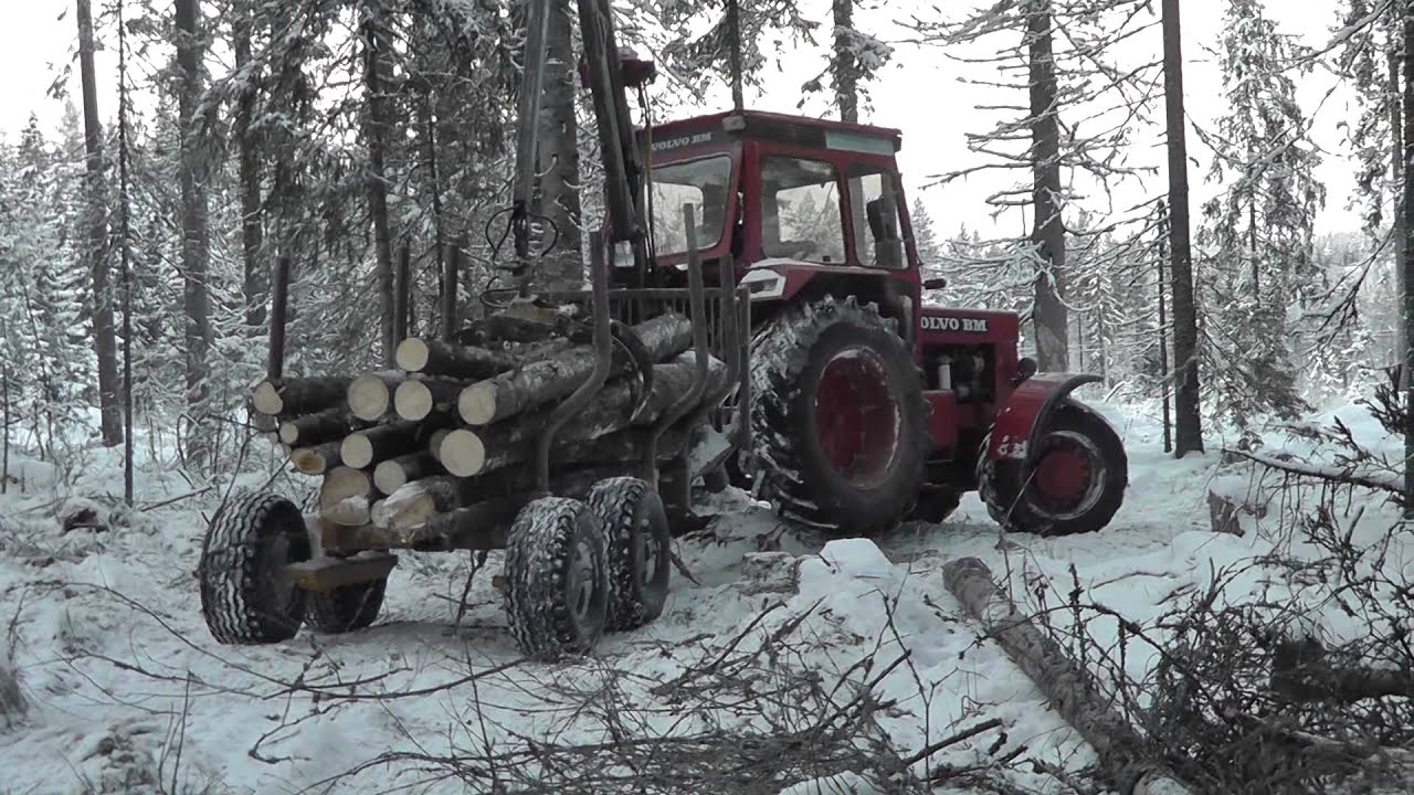 Volvo Bm 2654 In The Forest