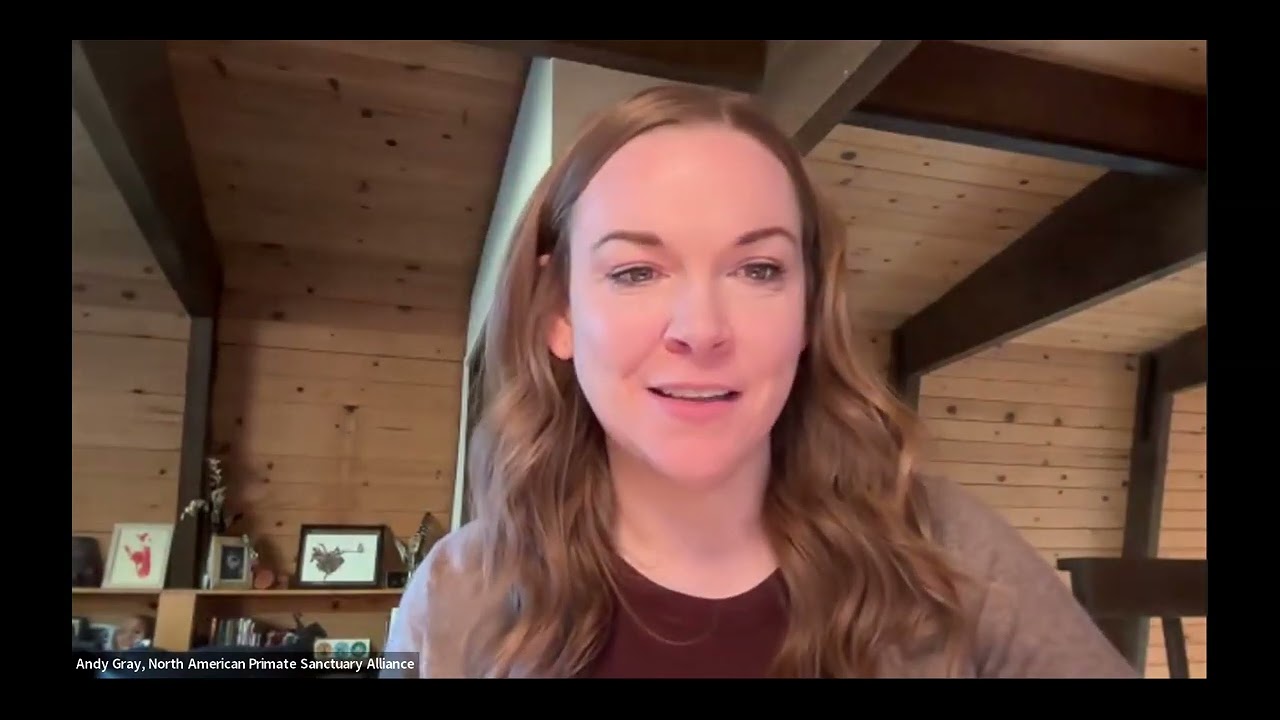 Chimp Crazy discussion Episode 2: Gone Ape - North American Primate Sanctuary Alliance & ChimpsNW