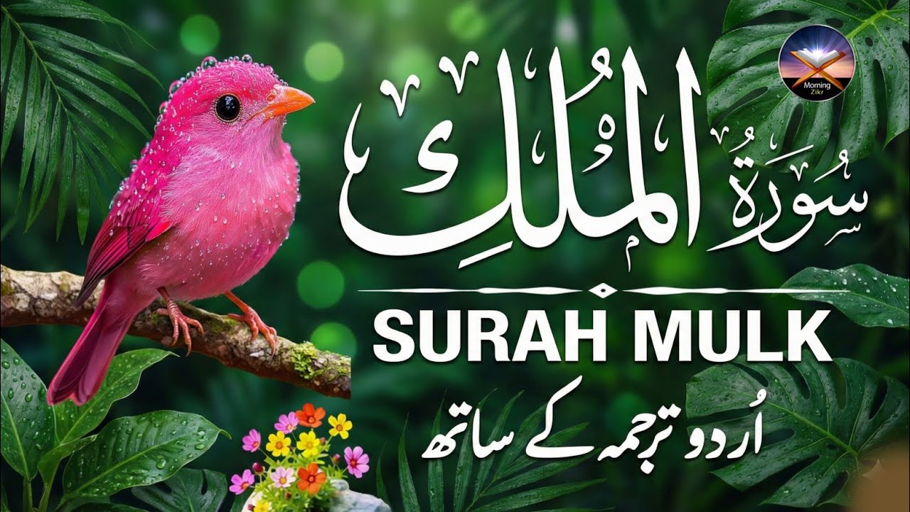Surah Al-Mulk (سورة الملك) | Arabic Recitation with Urdu & Hindi Translation | Full Qari Mansoor