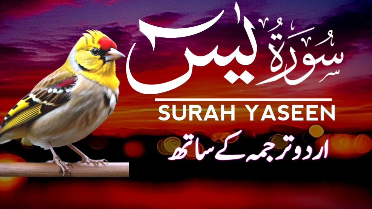 Surah Yasin | Surah Yaseen With Urdu Trnslation Full | Ep-015