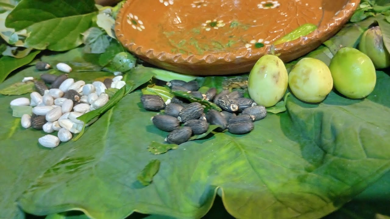 A qué sabe la patria en Huehuetla Puebla? Platillo tradicional 