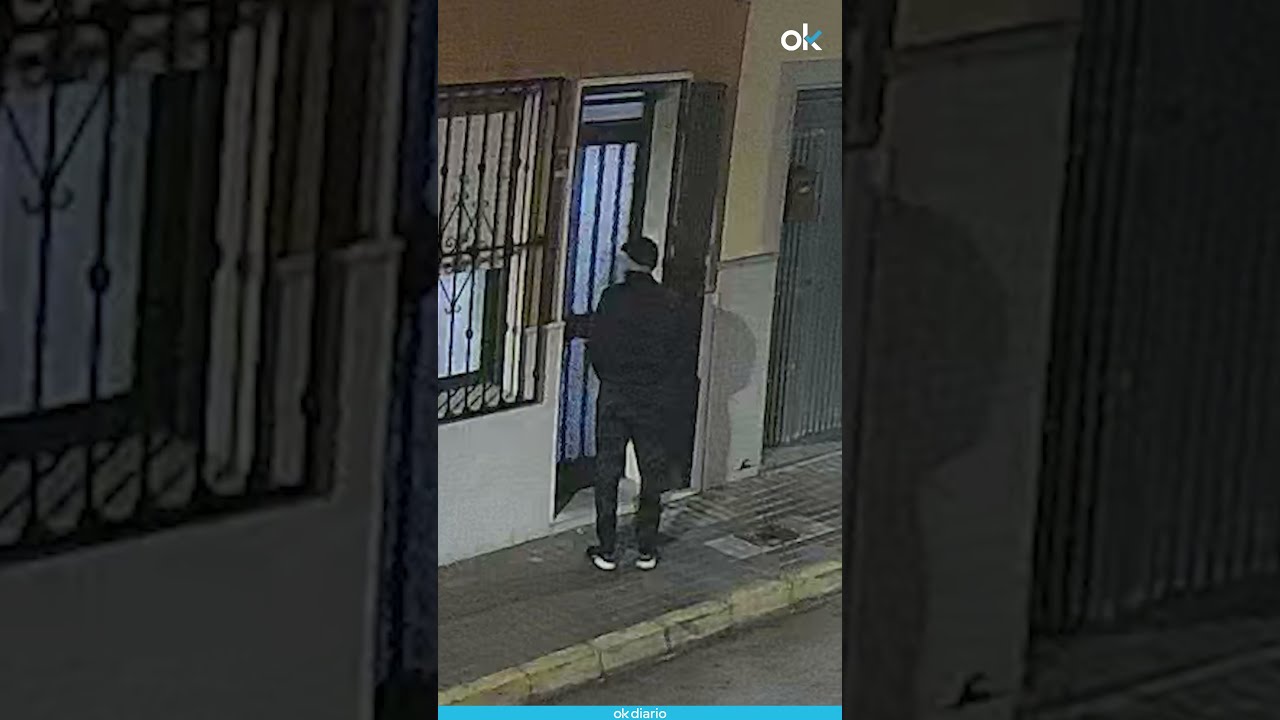 🐶 Perro h&eacute;roe frustra un secuestro en Valencia y delata al agresor