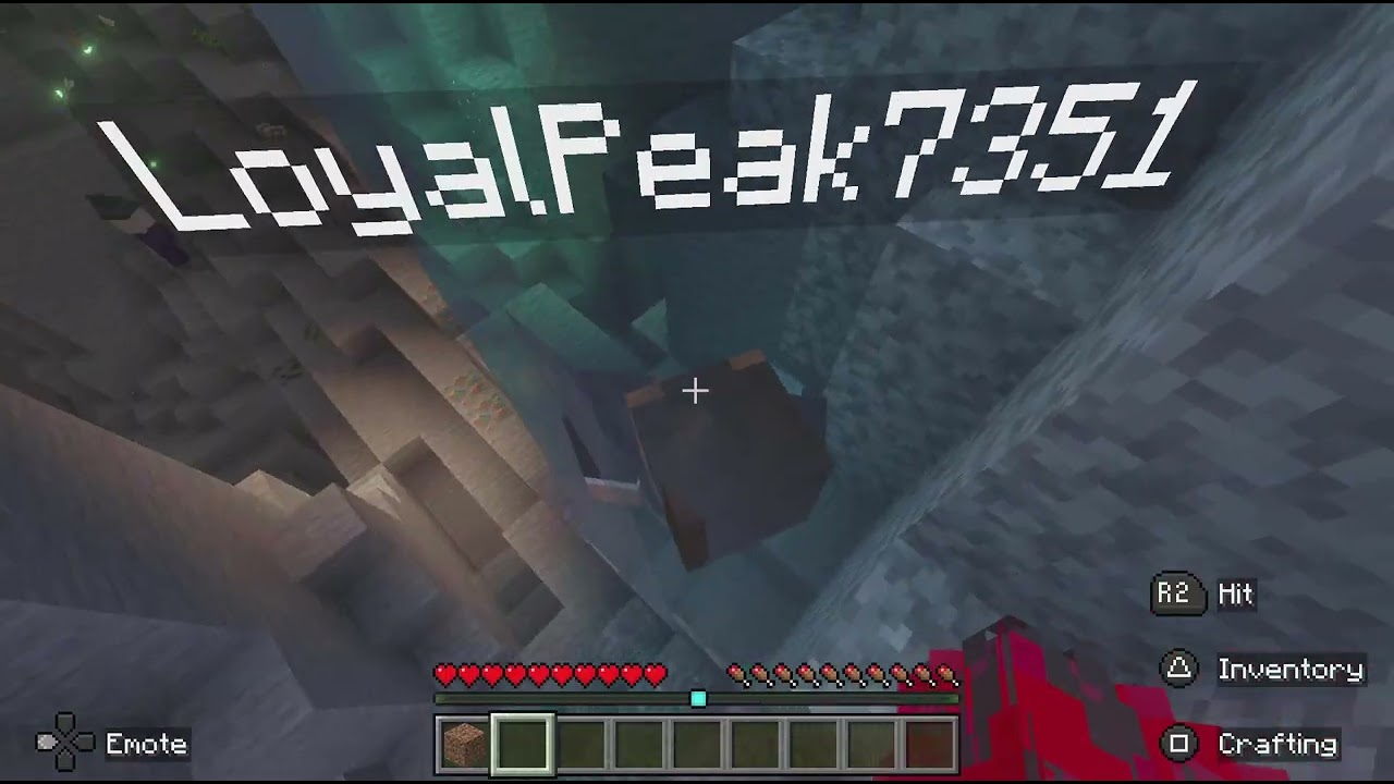 This is my Minecraft realm.